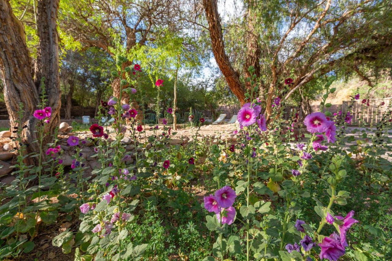 Casa Solcor Boutique Bed & Breakfast سان بيدرو دي أتاكاما المظهر الخارجي الصورة