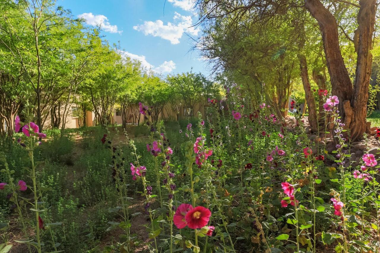 Casa Solcor Boutique Bed & Breakfast سان بيدرو دي أتاكاما المظهر الخارجي الصورة
